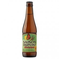 bouteille saison Dupont bio 25 cl