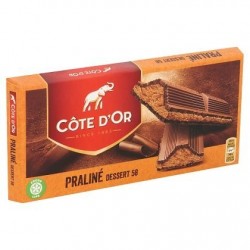 Tablette Côte d'Or dessert 58 praliné 200gr