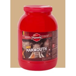 Pauwels mammoth hot 3L PET