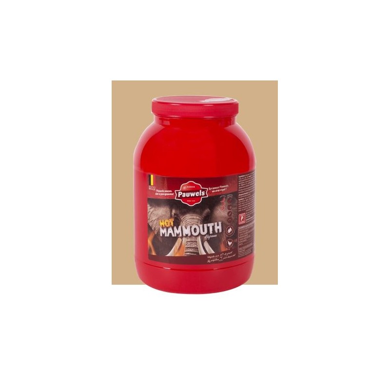 Pauwels mammoth hot 3L PET