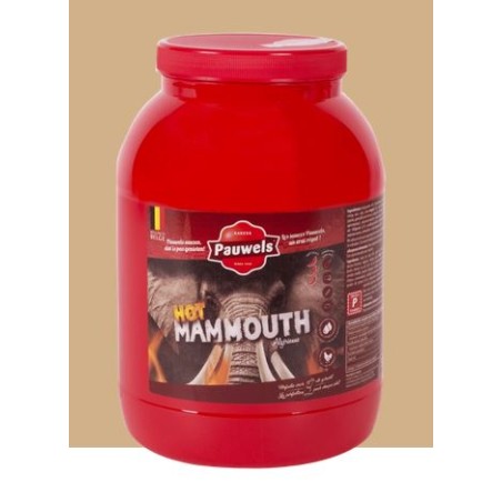 Pauwels mammoth hot 3L PET