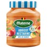 Materne Light Apricot and Nectarine Compote 335 g