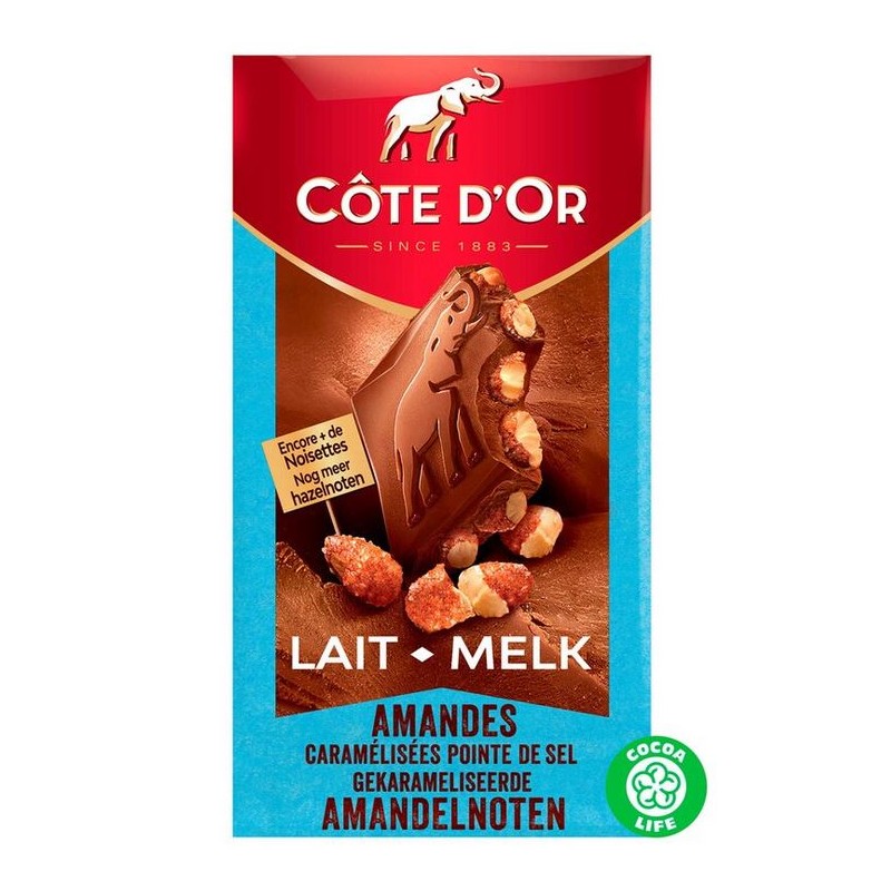 Côte d'Or caramelized almonds tablet 200 gr