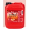 Pauwels Ketchup Chef 6 L