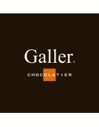 Chocolat Galler aux noisettes